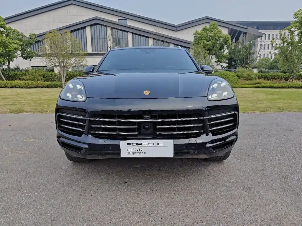 Cayenne 2022 Cayenne 3.0T Platinum Edition