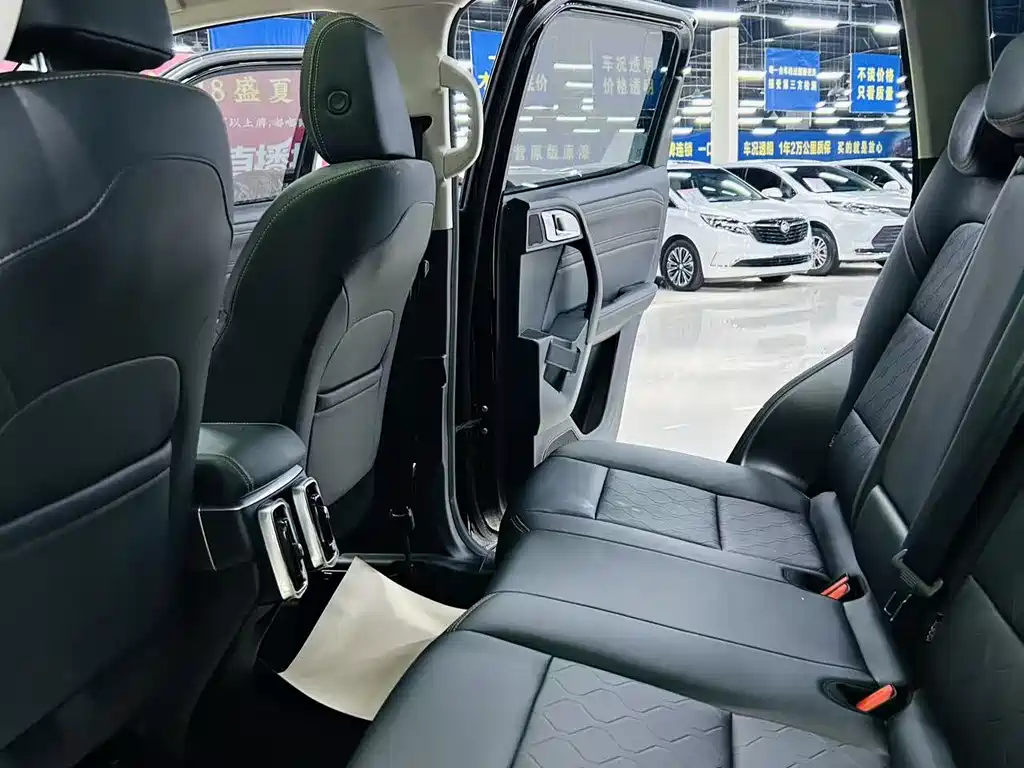 Haval Big Dog 2024 1.5T DCT Border Collie Edition