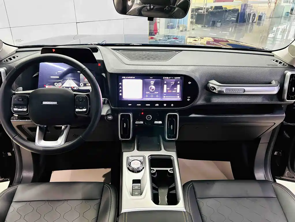 Haval Big Dog 2024 1.5T DCT Border Collie Edition