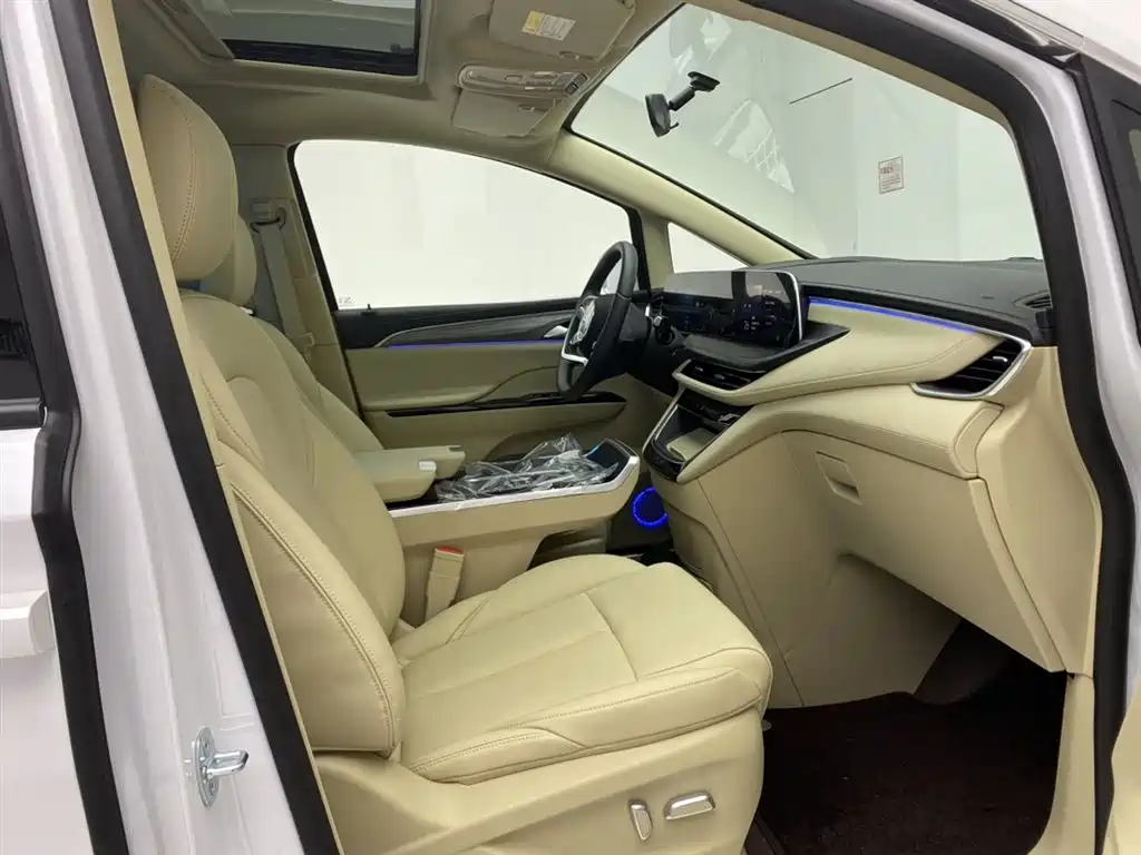 Buick GL8 Hybrid 2025 Avenir First Edition