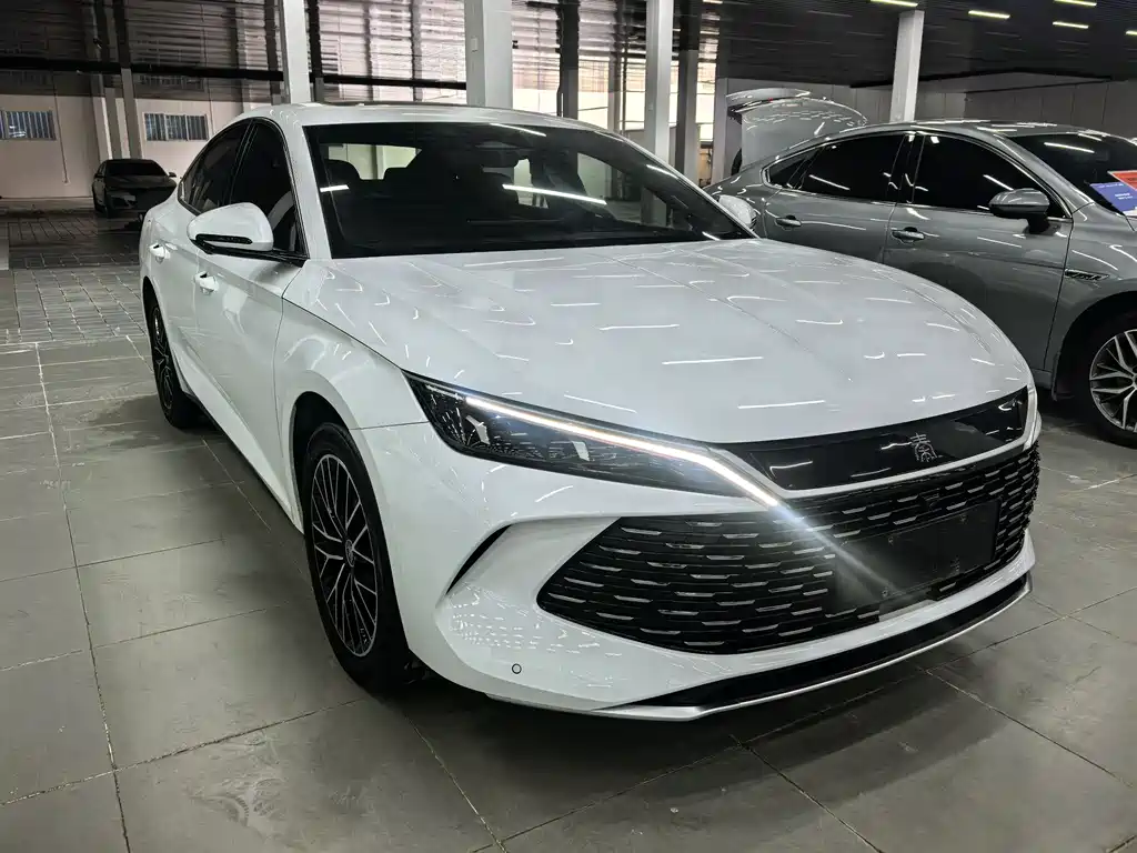 Qin L 2024 DM-i 120KM Excellence Edition