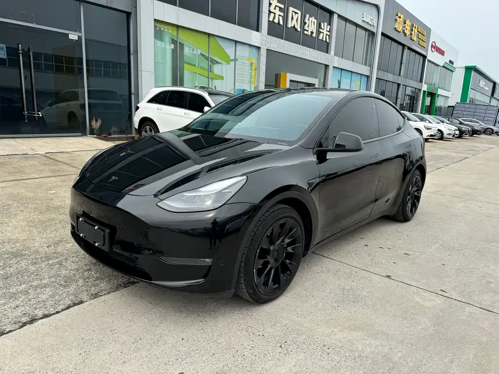 Tesla Model Y Long Range AWD 2021
