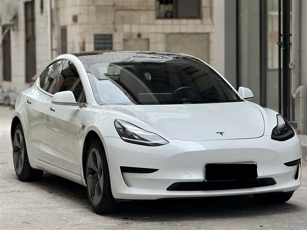 Model 3 2019 Standard Range Plus RWD