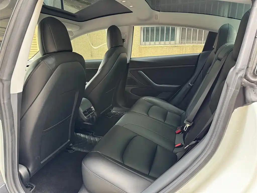 Model 3 2019 Standard Range Plus RWD