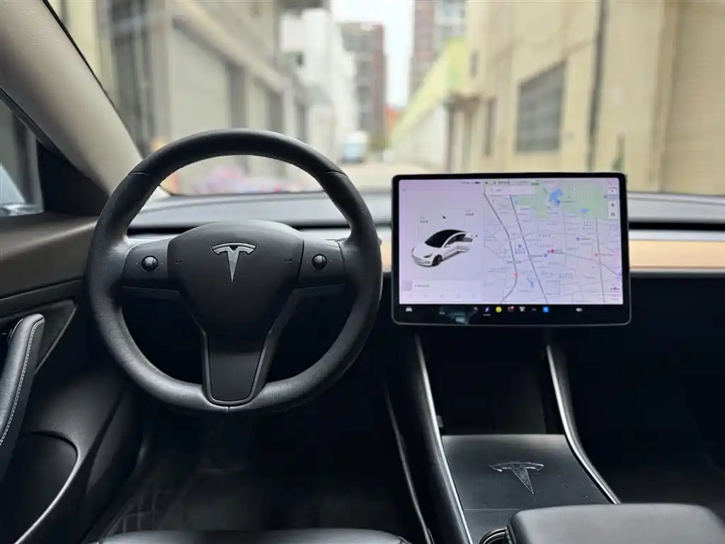 Model 3 2019 Standard Range Plus RWD