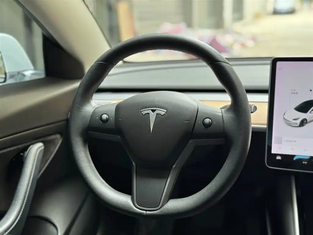 Model 3 2019 Standard Range Plus RWD