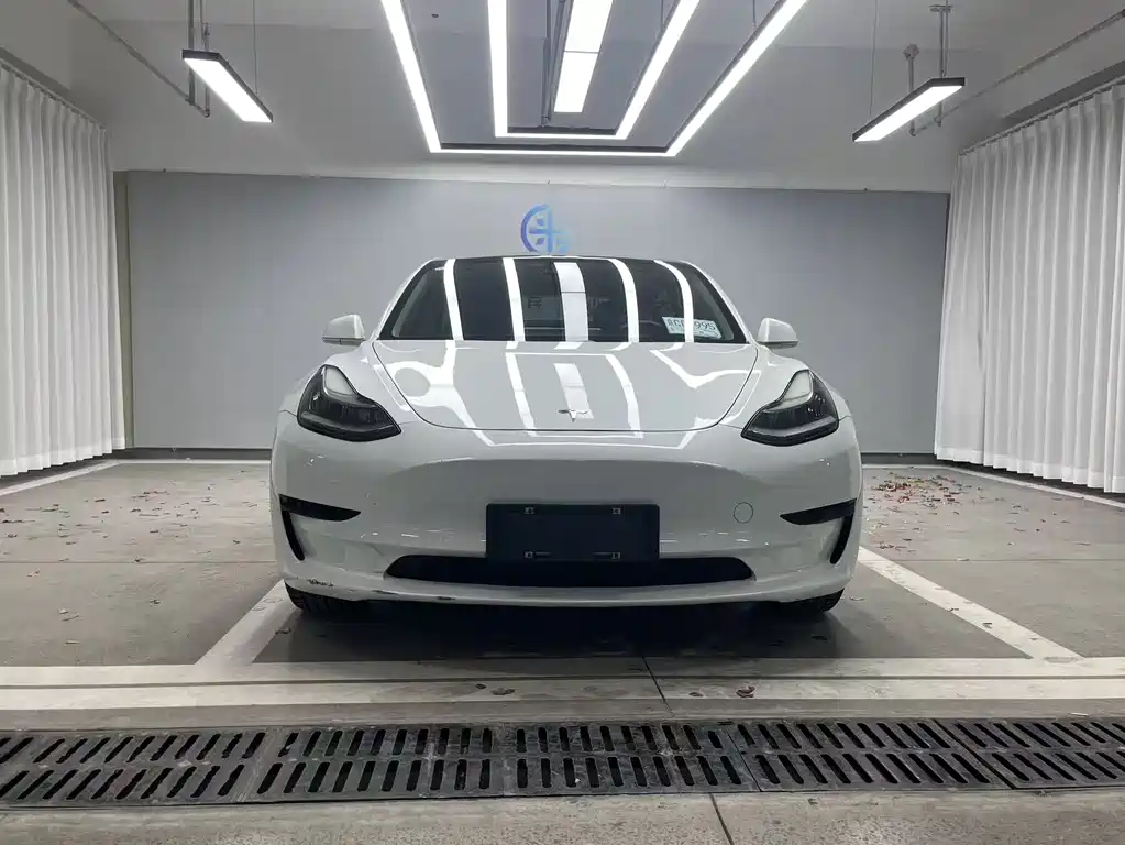 Model 3 2019 Standard Range Plus RWD
