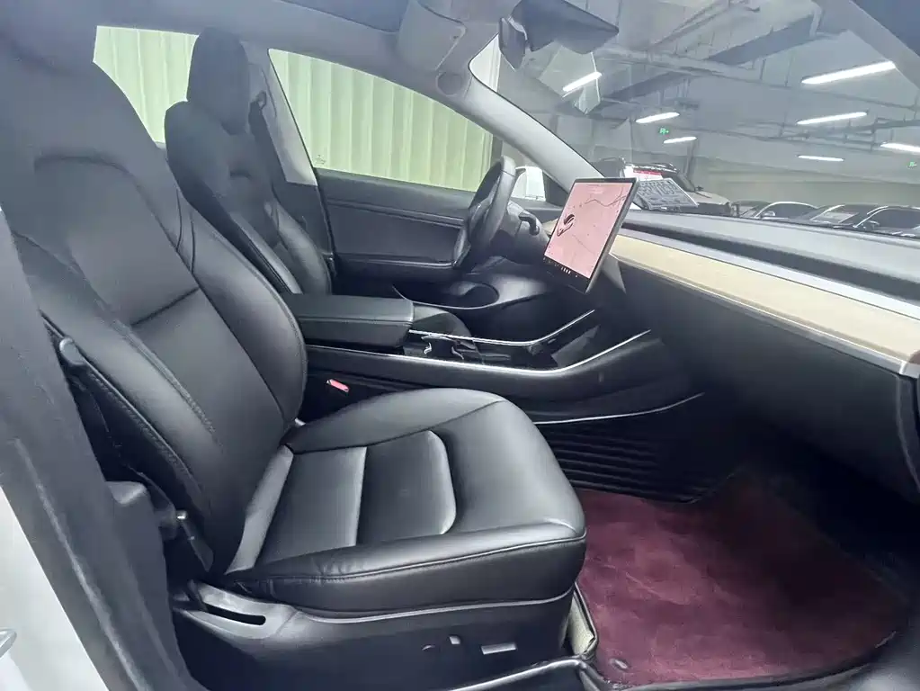 Model 3 2019 Standard Range Plus RWD