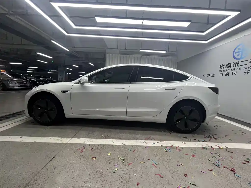 Model 3 2019 Standard Range Plus RWD
