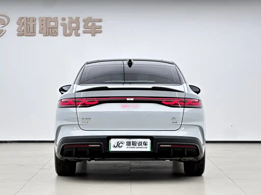 Qin L 2025 DM-i Smart Drive 120KM Leading