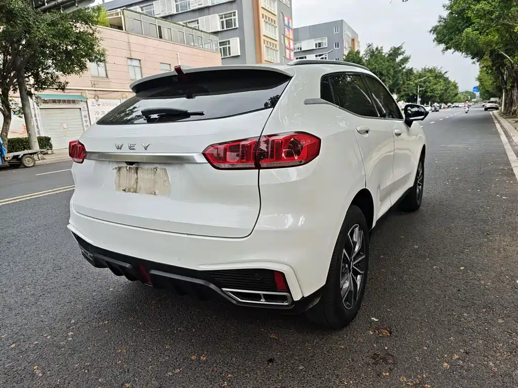WEY VV5 2020 1.5T 2WD Zhi Xianfeng