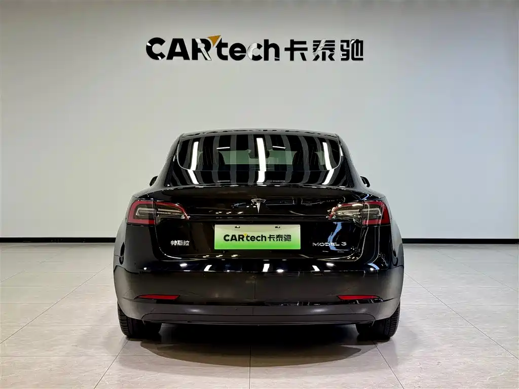 Model 3 2020 Standard Range Plus RWD
