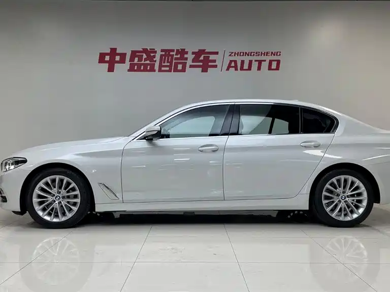 BMW 5 Series 2020 530Li xDrive Luxury Package