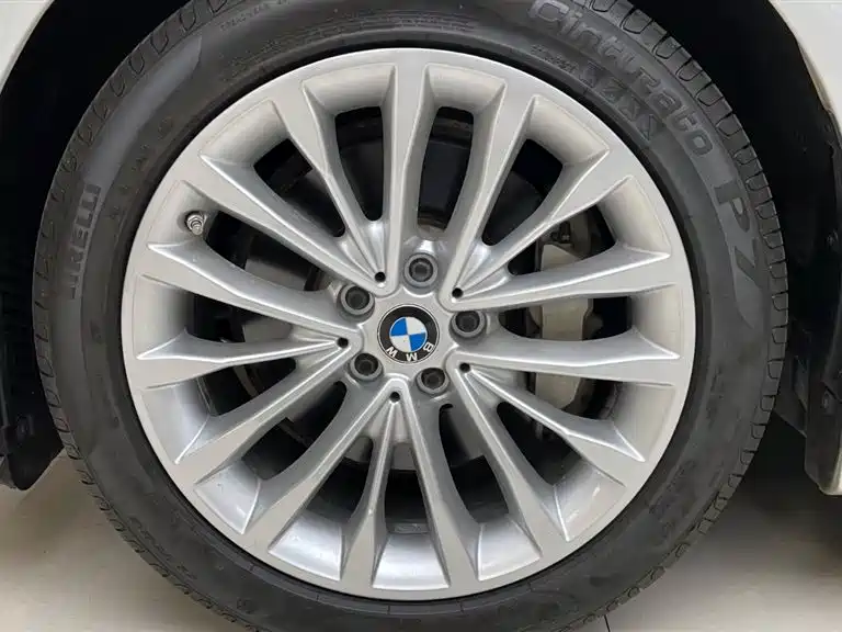BMW 5 Series 2020 530Li xDrive Luxury Package