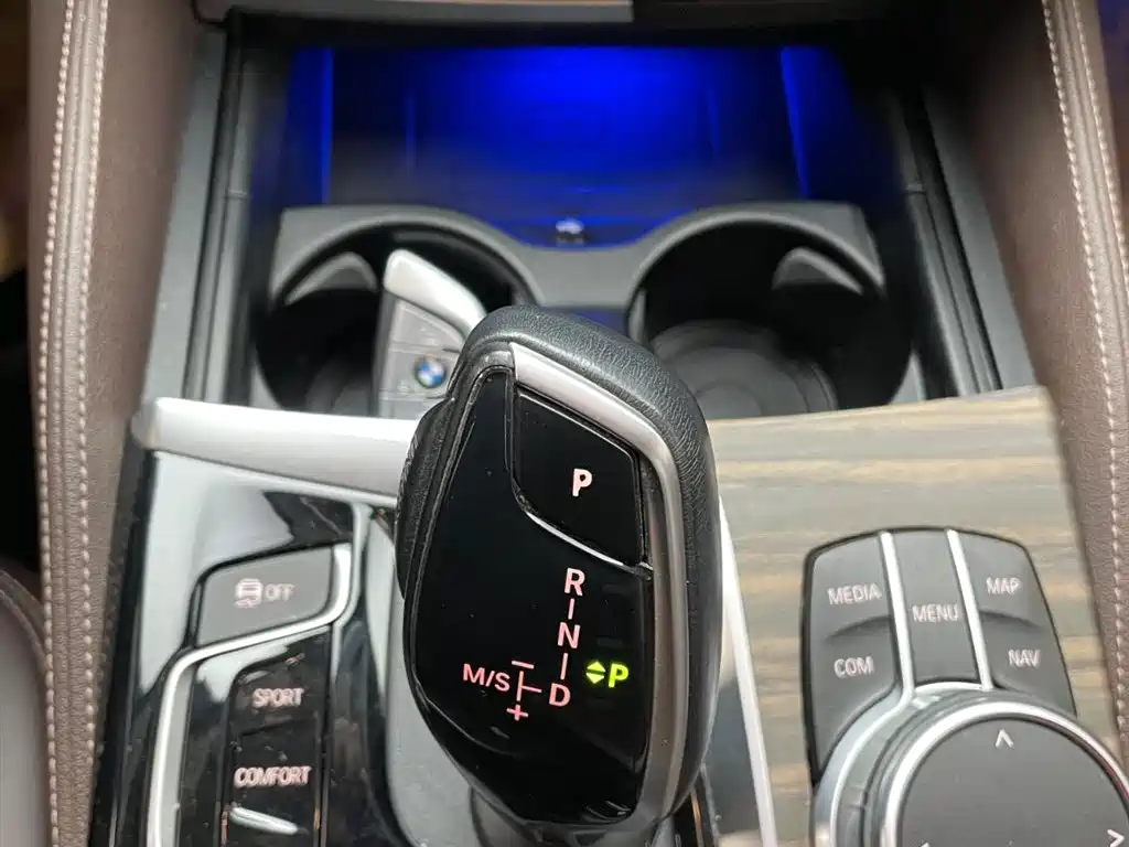 BMW 5 Series 2020 530Li xDrive Luxury Package