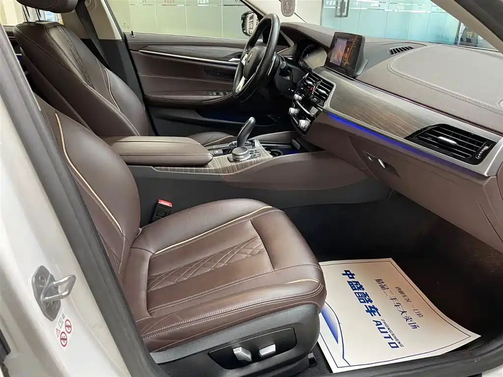 BMW 5 Series 2020 530Li xDrive Luxury Package