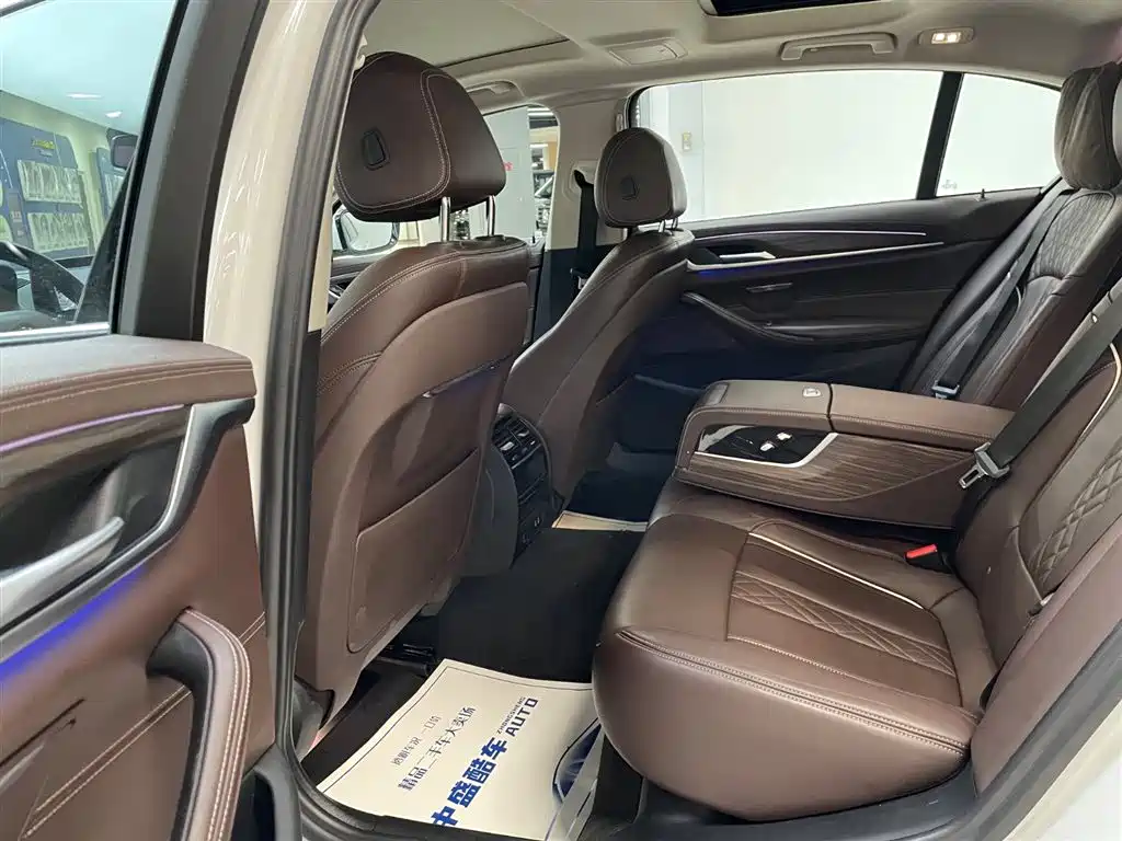 BMW 5 Series 2020 530Li xDrive Luxury Package