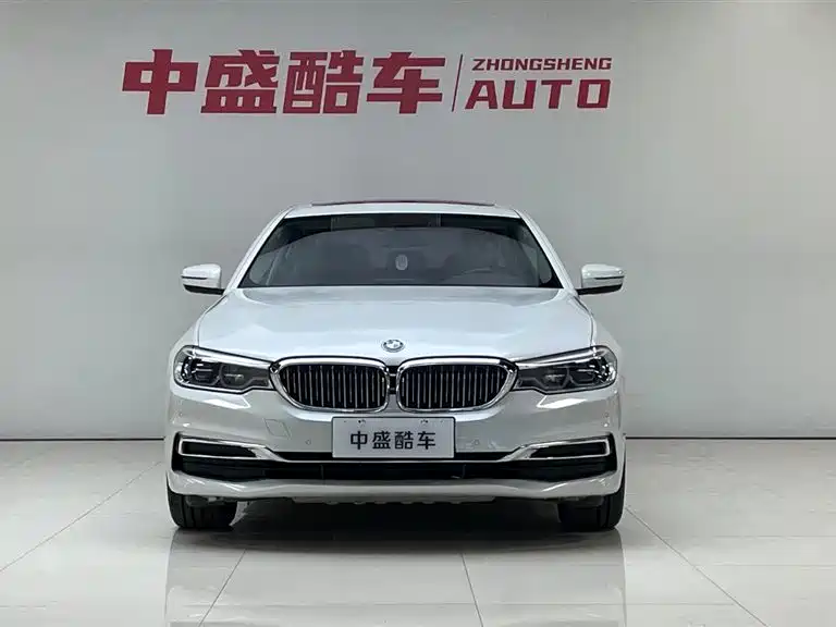 BMW 5 Series 2020 530Li xDrive Luxury Package