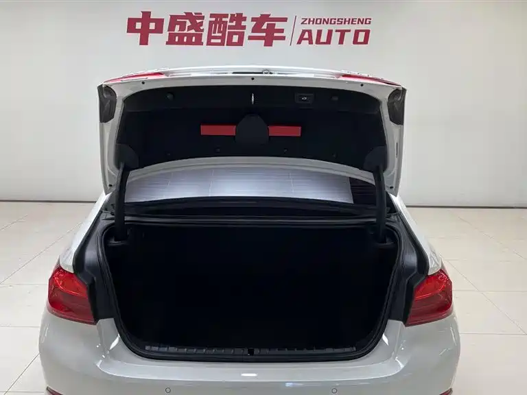 BMW 5 Series 2020 530Li xDrive Luxury Package