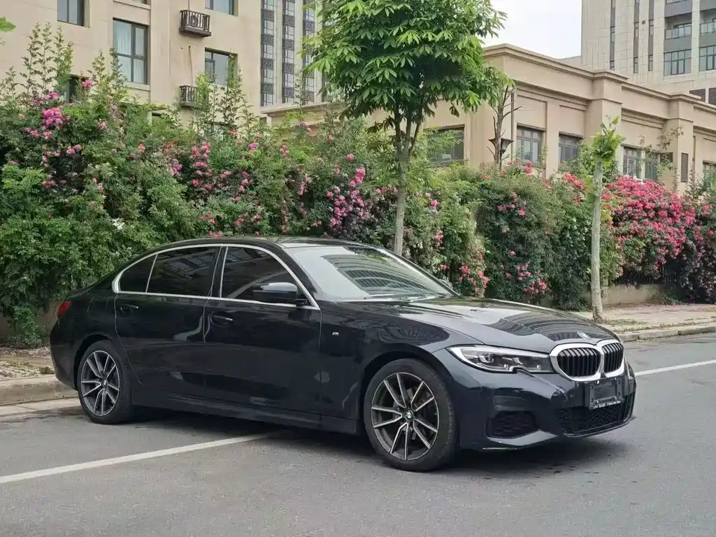 BMW 3 Series 2020 320Li M Sport Package