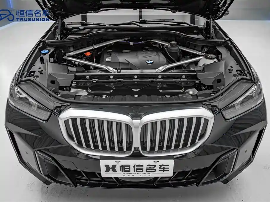 BMW X5 2023 xDrive 30Li Premium M Sport Night Package