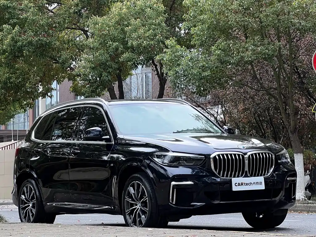 BMW X5 2022 xDrive 30Li M Sport Package