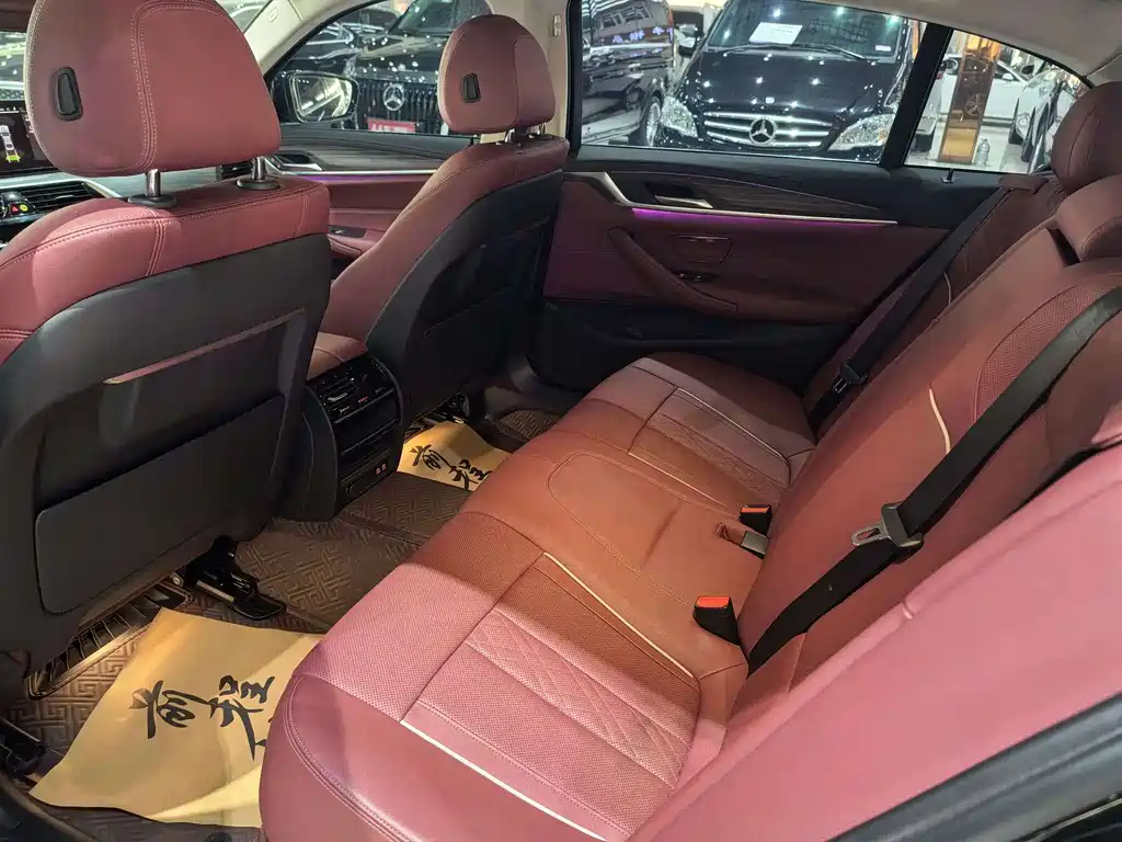 BMW 5 Series 2021 530Li Leading Luxury Package