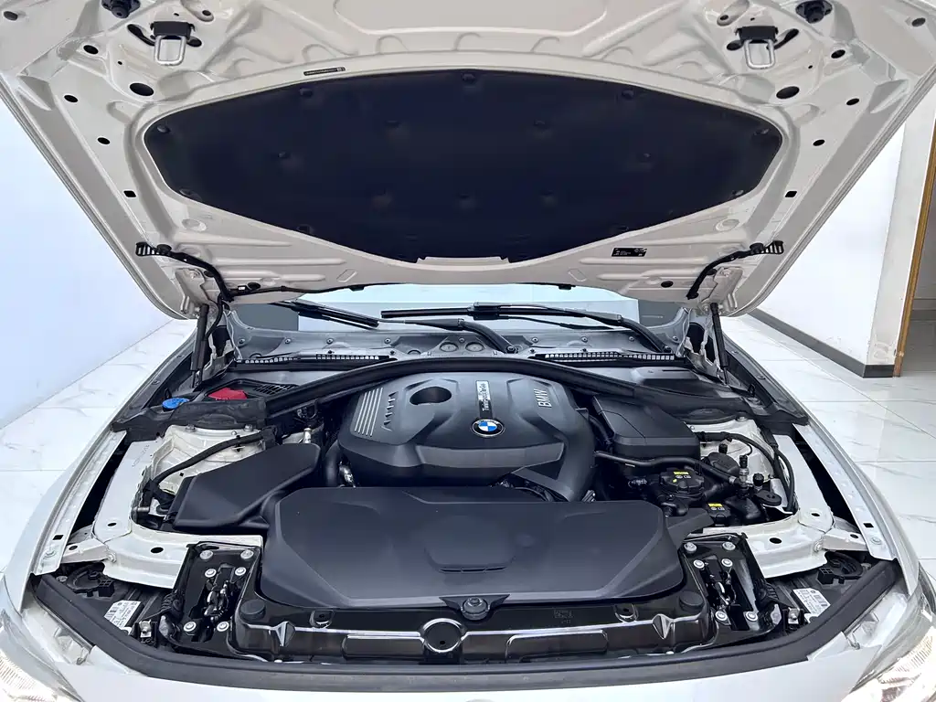 BMW 3 Series 2019 320Li Fashion Edition