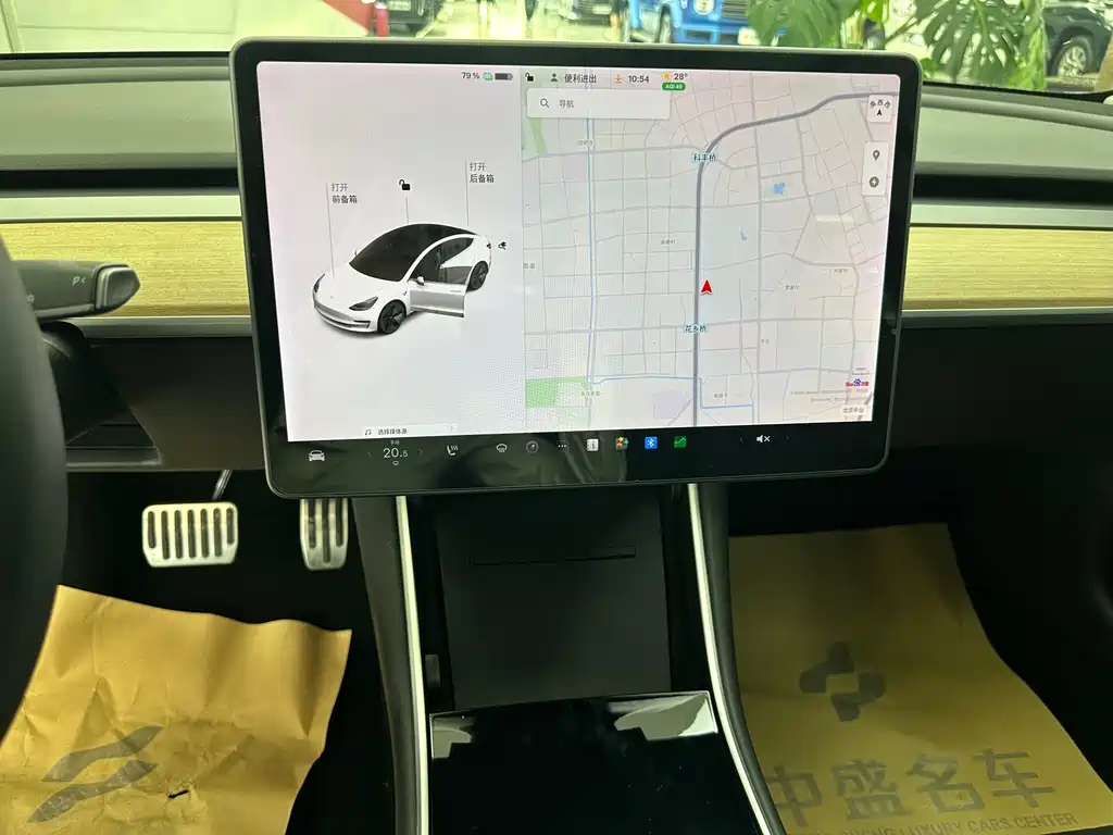 Model 3 2019 Standard Range Plus RWD