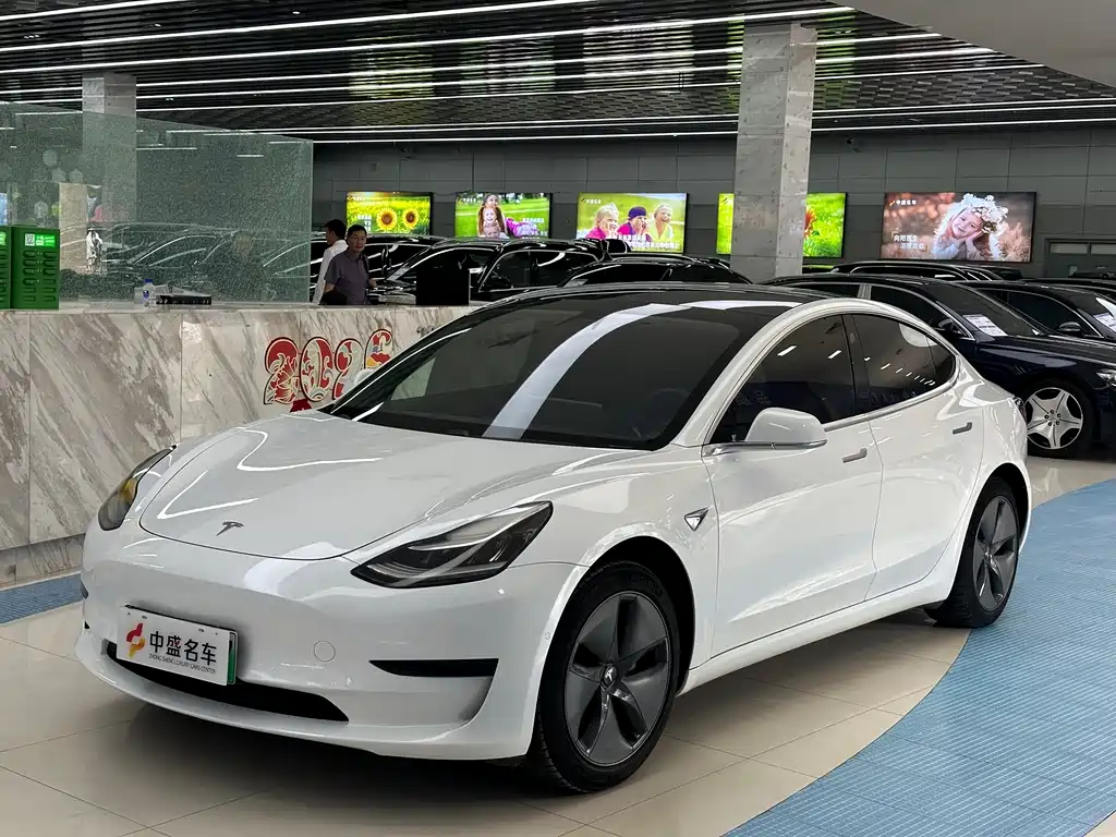Model 3 2019 Standard Range Plus RWD