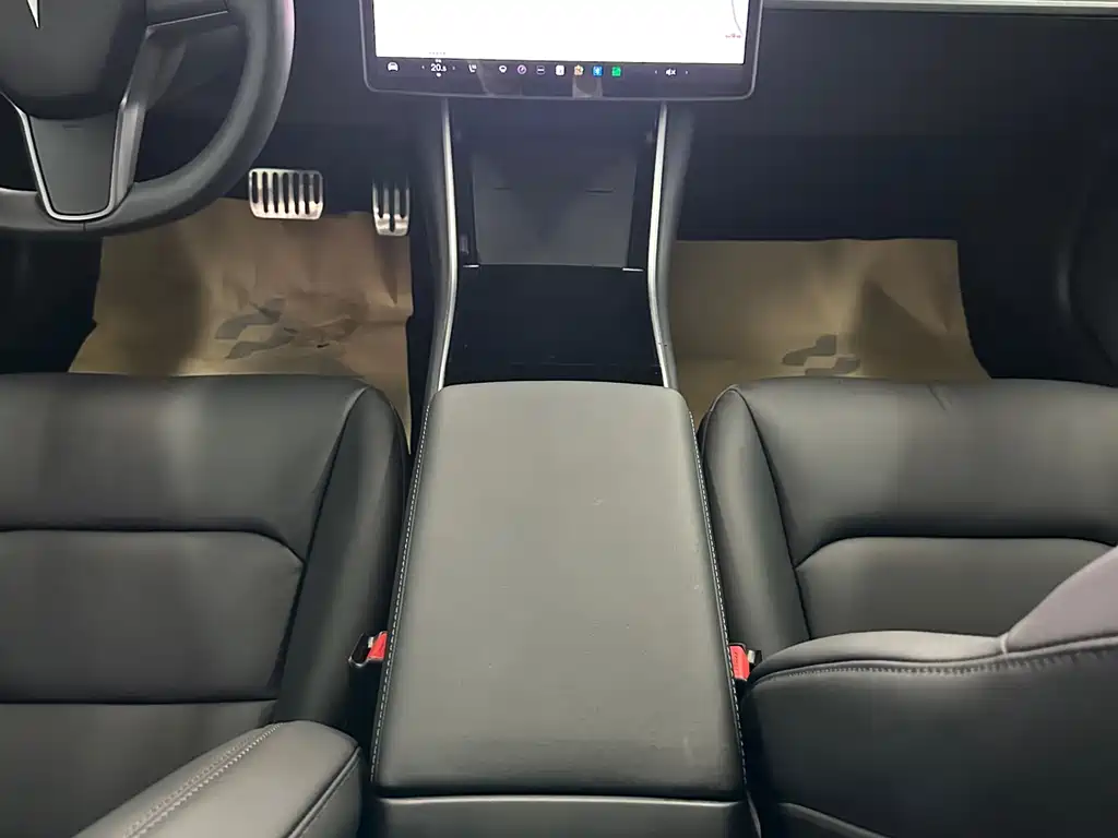Model 3 2019 Standard Range Plus RWD