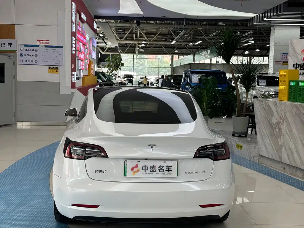 Model 3 2019 Standard Range Plus RWD