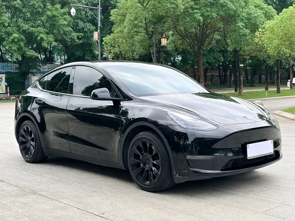 Model Y 2021 Standard Range Rear-Wheel Drive Edition
