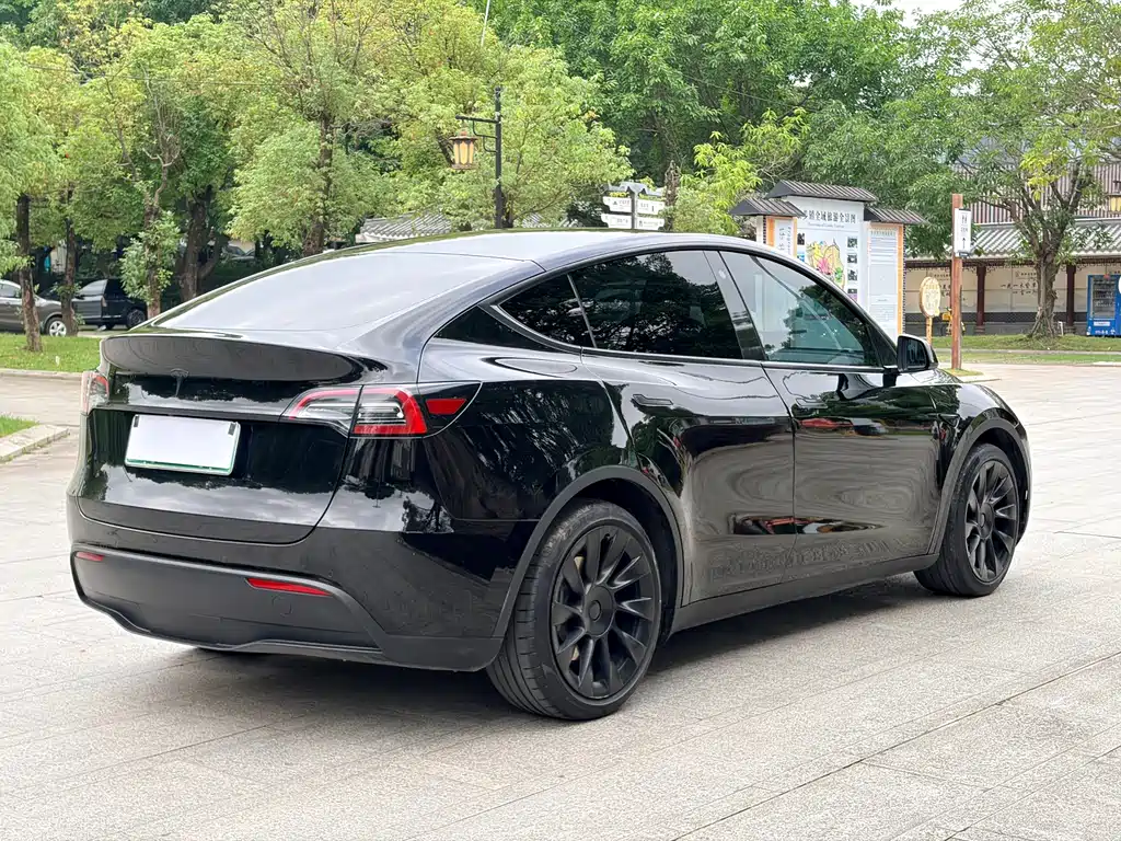 Model Y 2021 Standard Range Rear-Wheel Drive Edition
