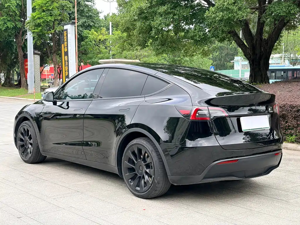 Model Y 2021 Standard Range Rear-Wheel Drive Edition
