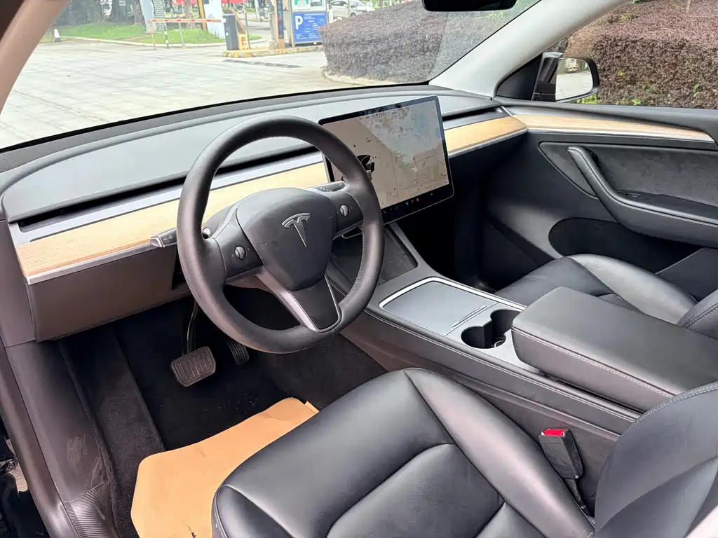 Model Y 2021 Standard Range Rear-Wheel Drive Edition