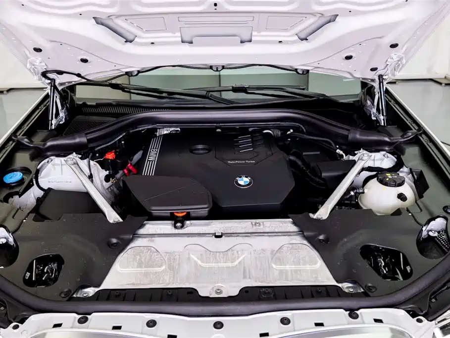 BMW X3 2022 xDrive30i Leading Edition M Night Package