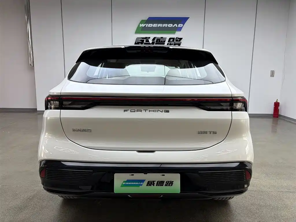 Dongfeng Forthing T5 2026 530km Prestige Edition