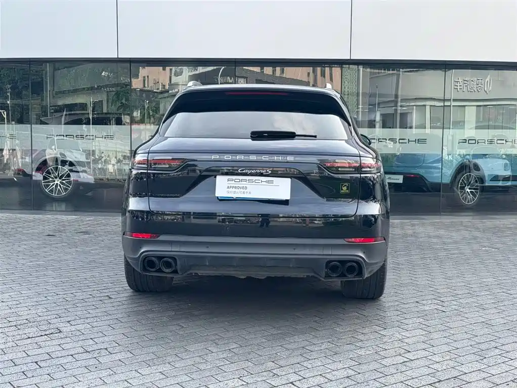 Cayenne 2022 Cayenne 3.0T Platinum Edition