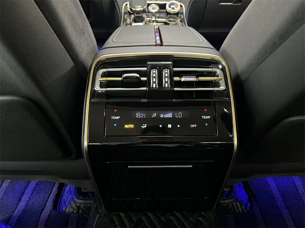 Hongqi H9 2020 3.0T Zhilian Qichang Edition