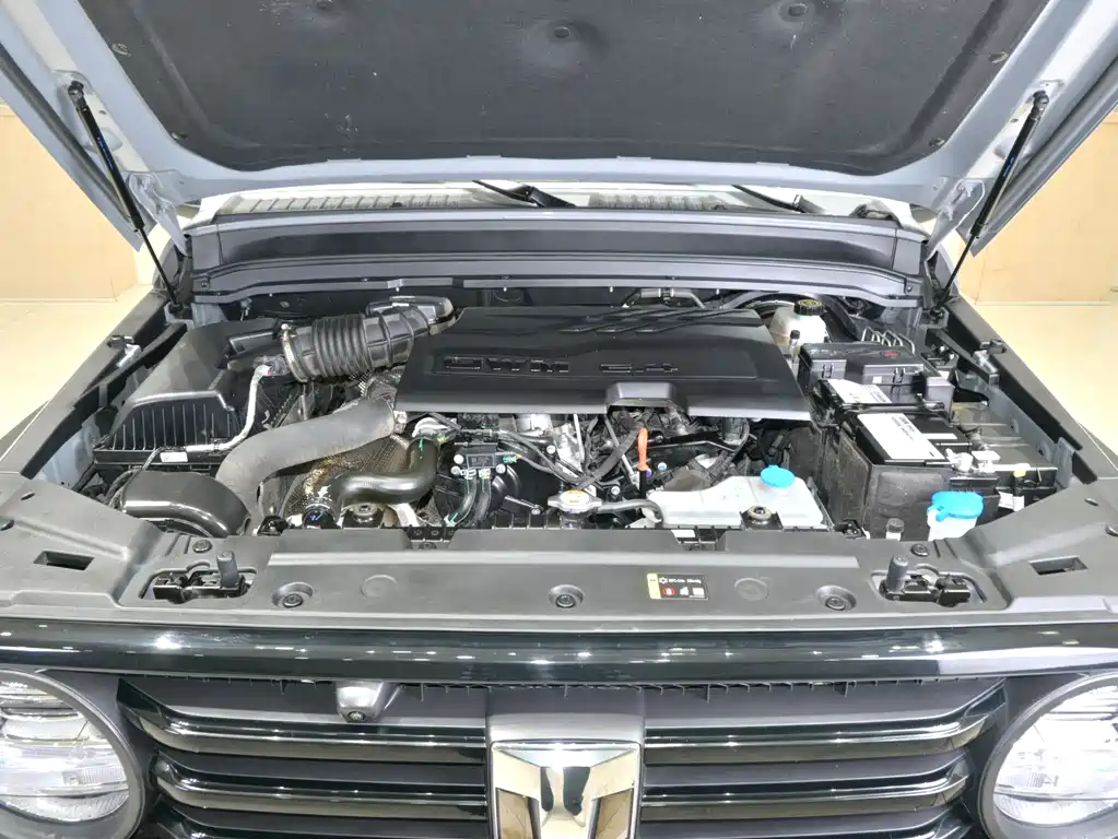TANK 300 2025 Edition 2.4T Diesel