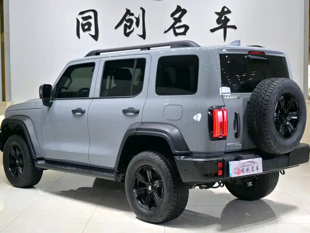 TANK 300 2025 Edition 2.4T Diesel
