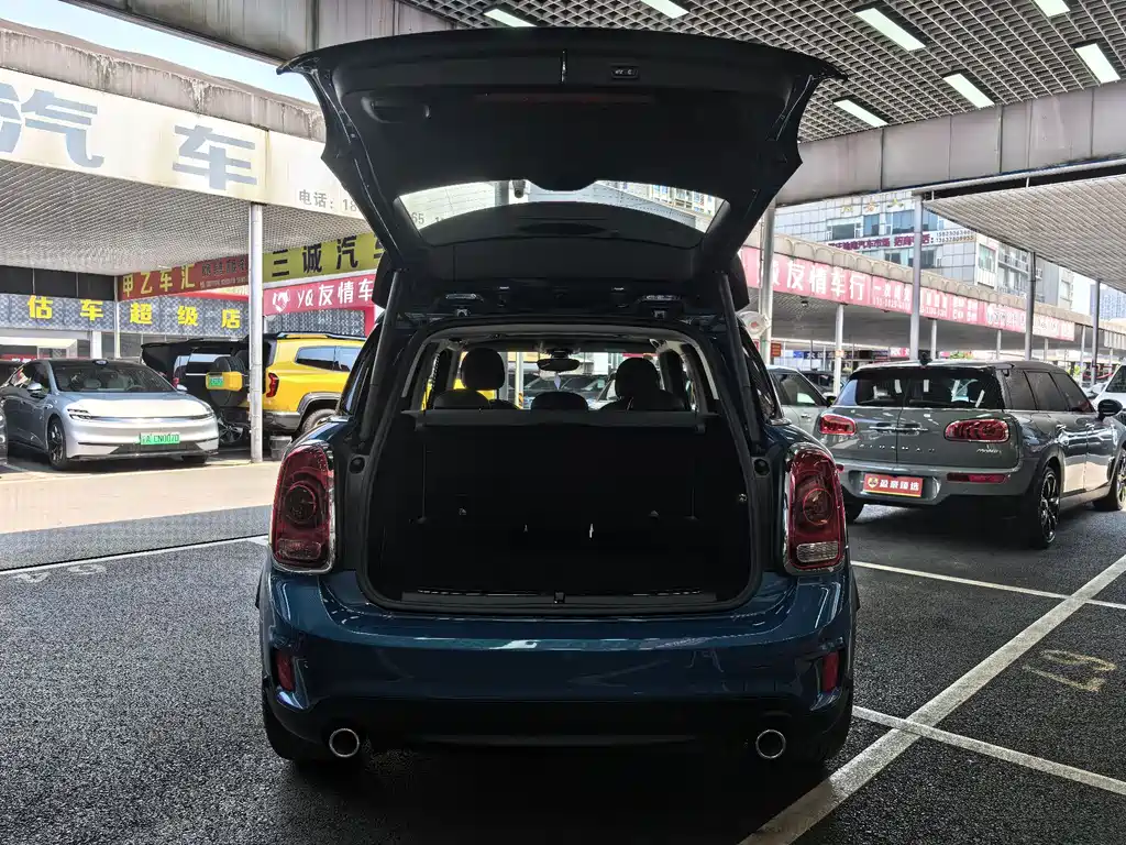MINI Countryman 2018 2.0T COOPER S ALL4 Artist