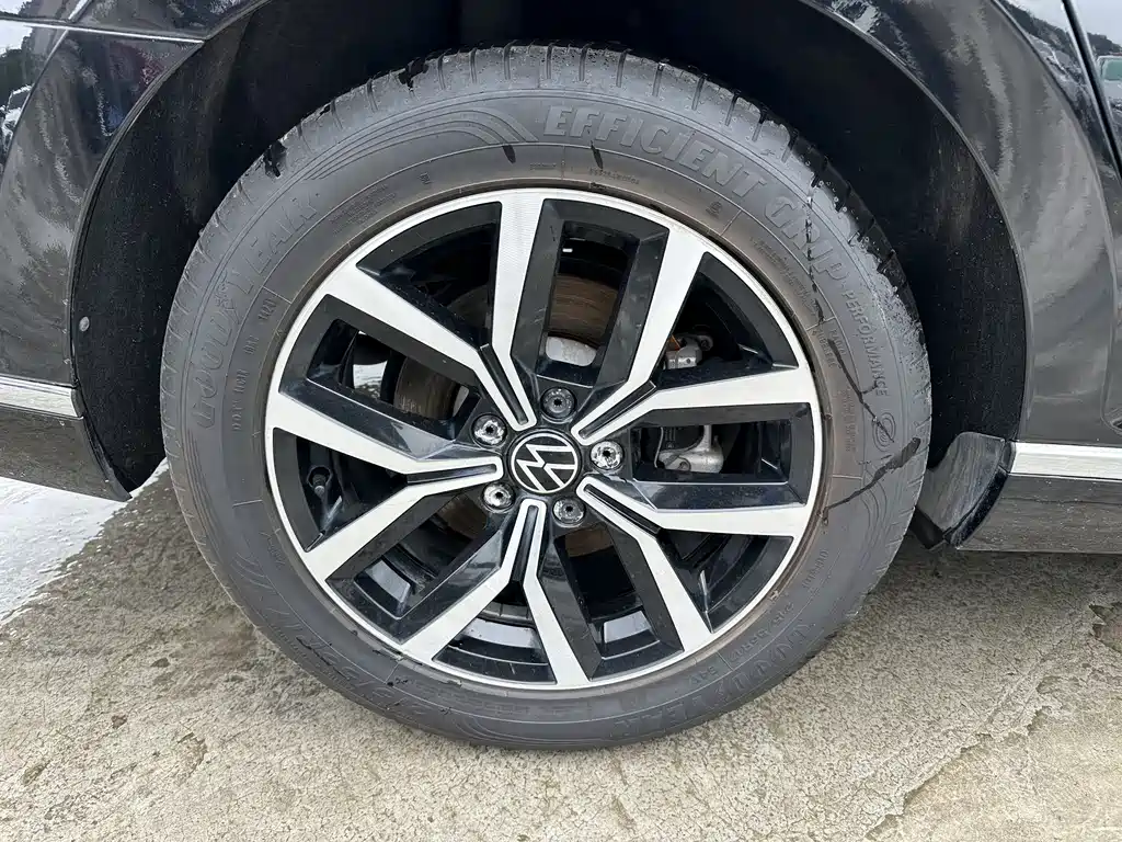 Volkswagen Magotan 2020 330TSI DSG Leading