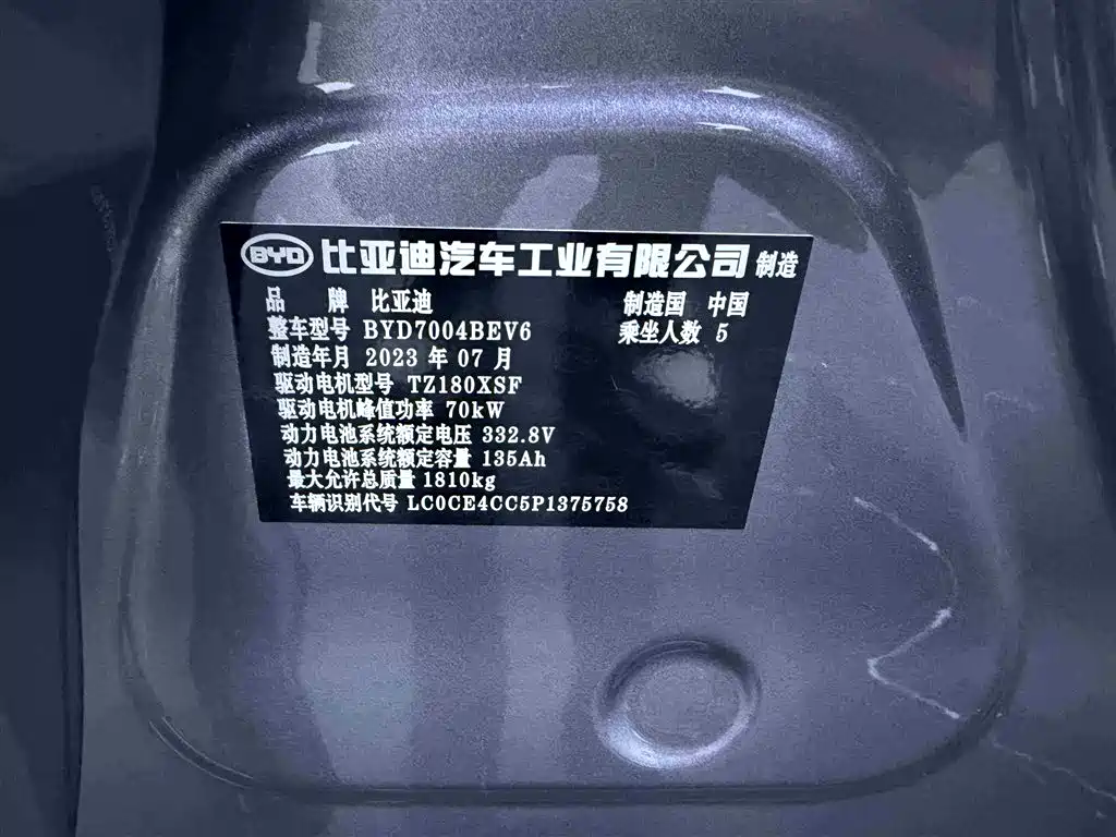BYD Dolphin 2023 420km Trend
