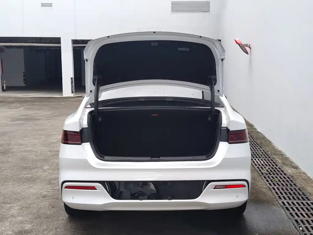 BYD Qin PLUS EV 500KM Prestige Edition 2021