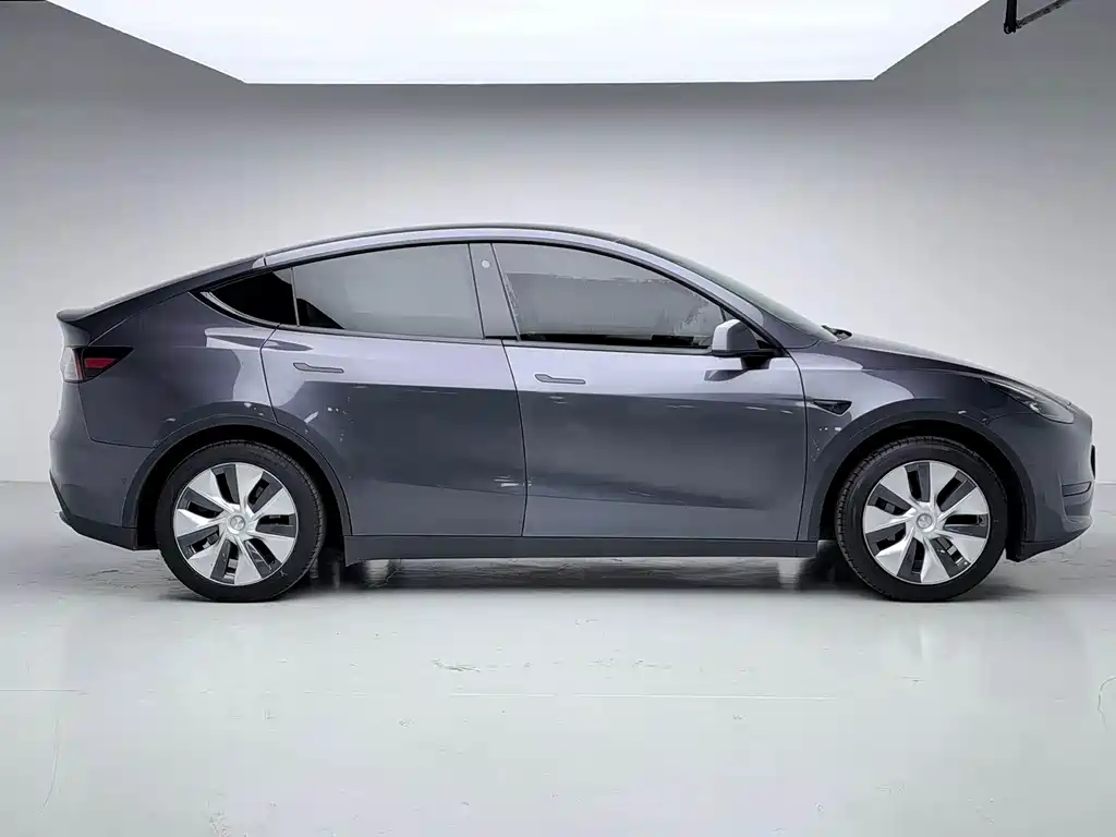 Model Y 2022 Rear-Wheel Drive Version