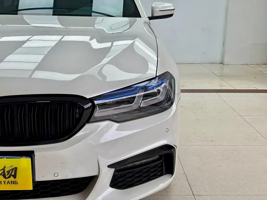 BMW 5 Series 2019 530Li M Sport