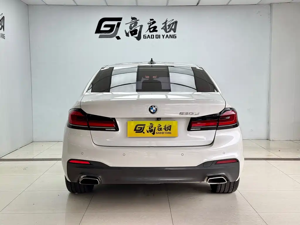BMW 5 Series 2019 530Li M Sport