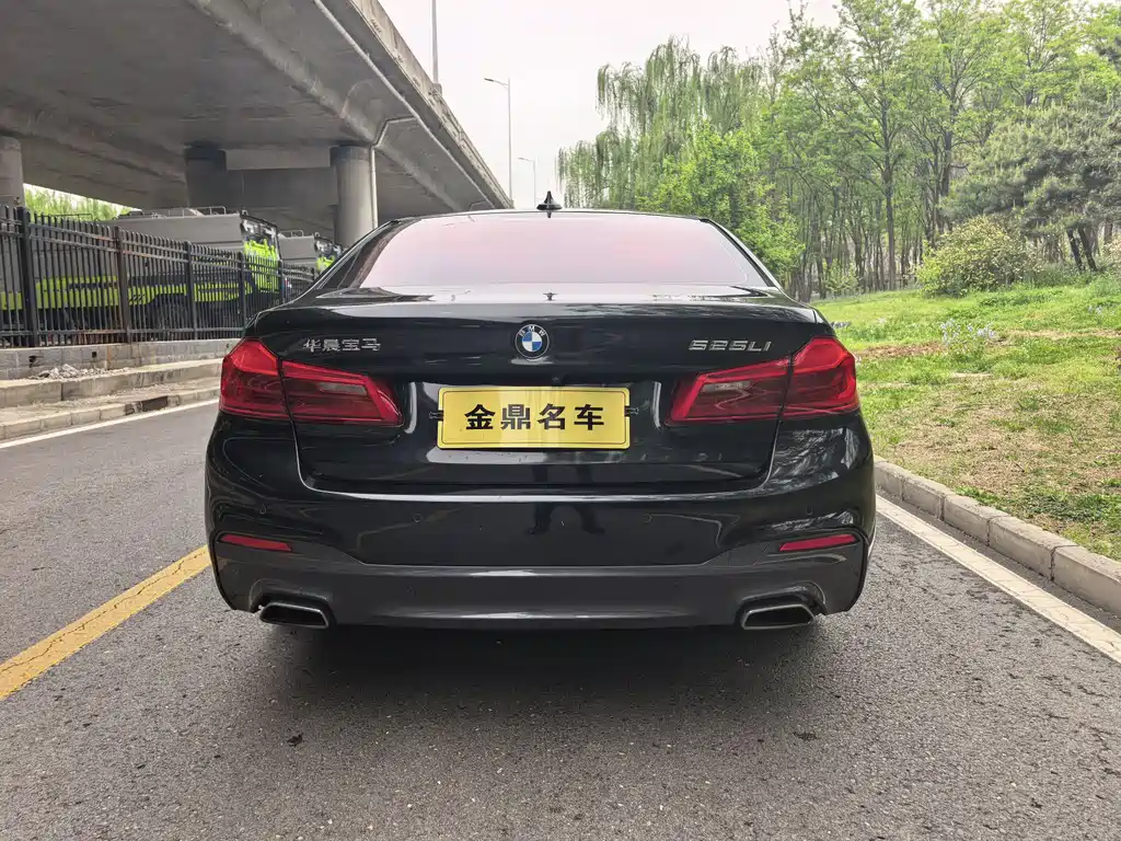 BMW 5 Series 2019 525Li M Sport Package